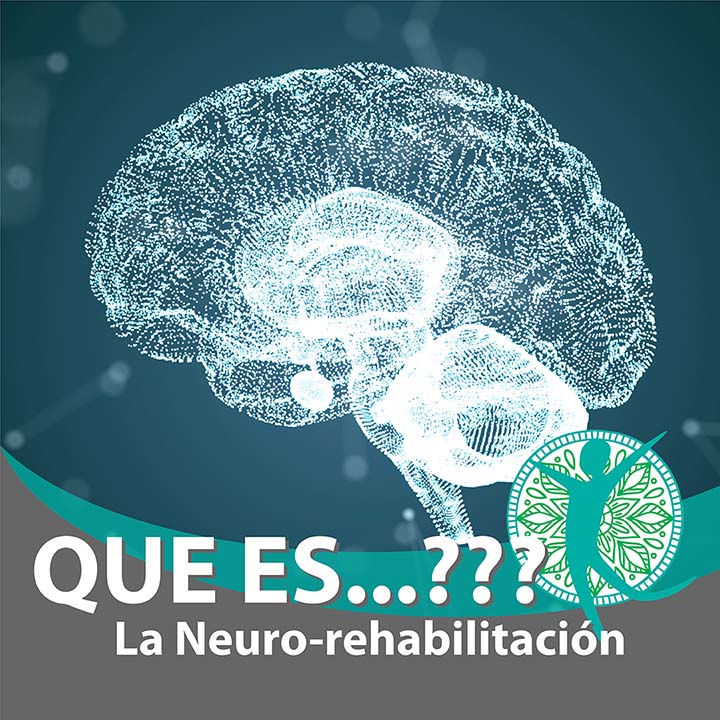 Qué Es La Neurorehabilitación Definición Objetivos Y