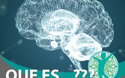 ¿Qué es la Neurorehabilitación? – Definición, objetivos y consideraciones